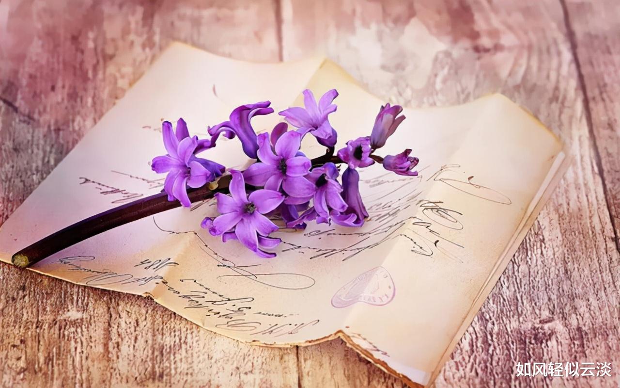 如风轻似云淡 一个人突然不发朋友圈了,得知这些原因后,我沉默了