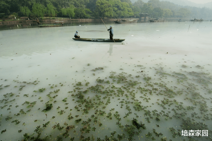塑料袋和纸袋哪个更环保？
