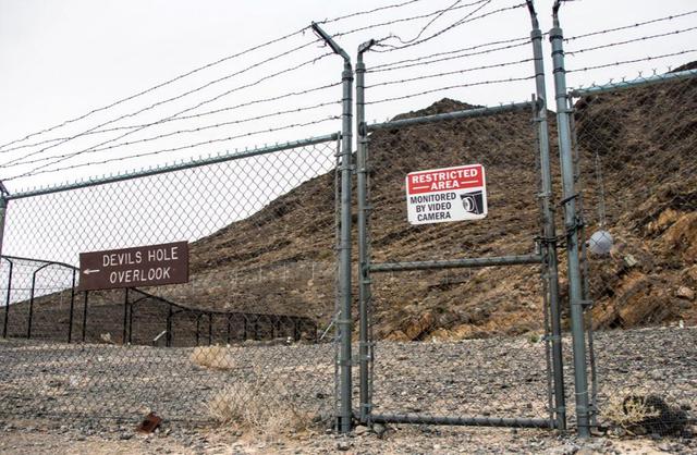 与世隔绝 全球唯一与世隔绝5万年的鱼，只剩38条，差点被醉鬼连锅端了