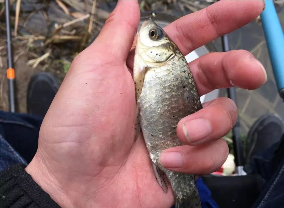 大板|野钓时间长了人就会变“懒”？相信老钓手会有共鸣，新手还在路上