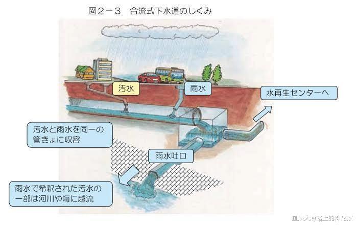 一個個拔下蟲子，好恐怖！東京灣糞水：日本人的地還洗得幹凈嗎？-圖10