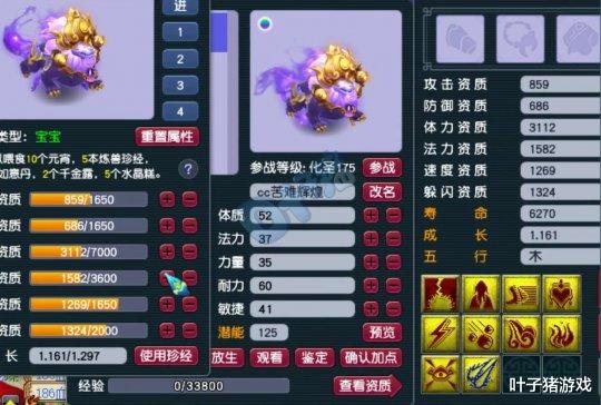 谛听|梦幻西游苦难手气巅峰连打2只极品BB 半夜睡不着鉴定灵饰结局完美