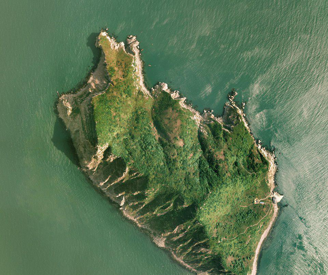 蝮蛇 大连蛇岛为何有那么多毒蛇?1平方多公里,隐藏近2万条毒蛇