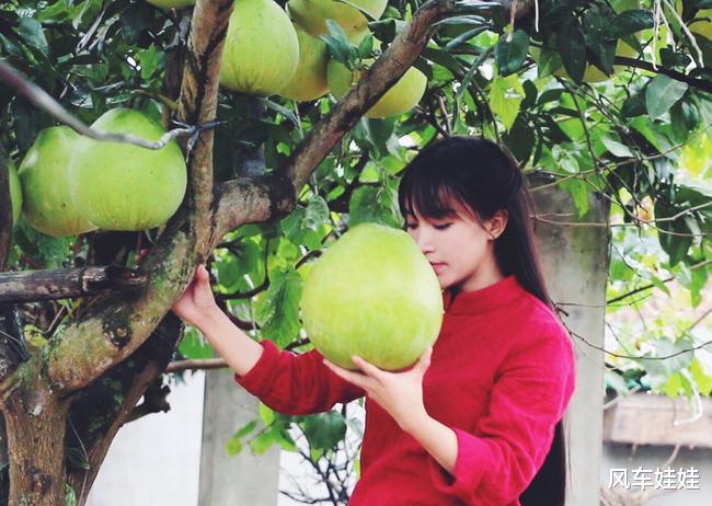 李子柒|李子柒停更75天接受央媒采访，她的清醒，打了多少网红的脸？