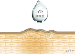 伊美如云|成分界的香饽饽?烟酰胺能有多野!