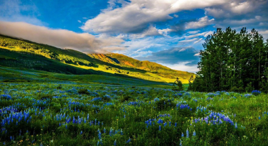 客服|心法|创业者找不到方向怎么办？4个方法帮你破局【聪聪冲鸭】