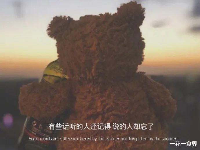 一花一食界|内卷都如此严重了，还要内耗？！