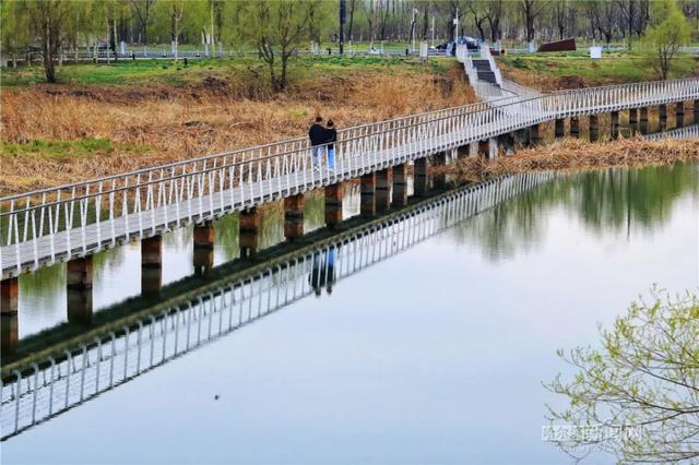 哈尔滨新闻网 你好啊，这花花世界｜今天最高气温近20℃
