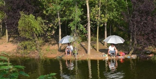 教教你家娃|夏季钓鱼“4钓4不钓”，并非河边守一天就会收获好！