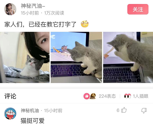 克汉情感|神回复：假如地球停电30年，只能选一个，你会选哪一个？
