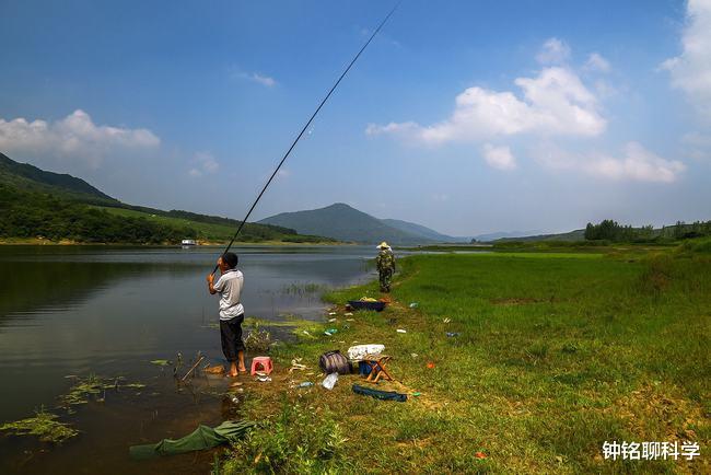 钓鱼|用钓竿钓到10条鲢鱼，2人被罚26000元！长江禁渔十年，能钓鱼吗？