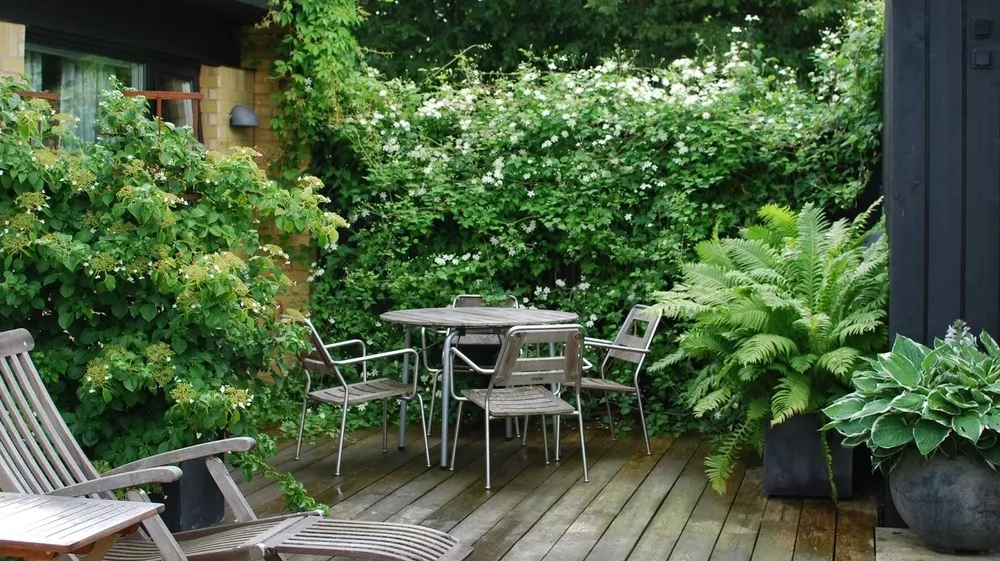 如果你有一个院子,可以这样设计