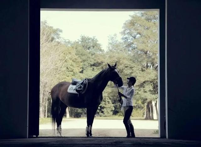 咏梅|咏梅：和陈道明交往7年，与栾树结婚29年，一直没生孩子