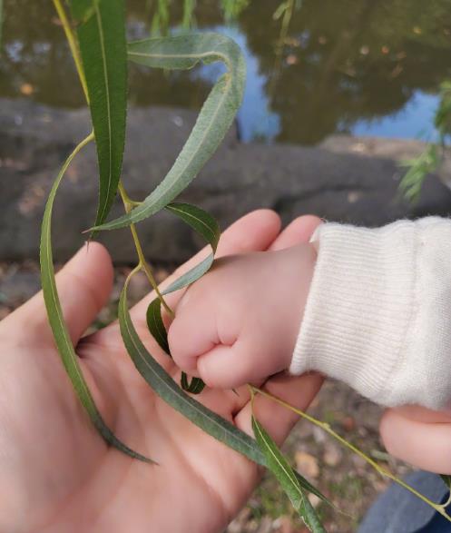 谢娜|谢娜：事业不顺看得开，安心回归家庭首次晒出三女儿小咘芽的照片