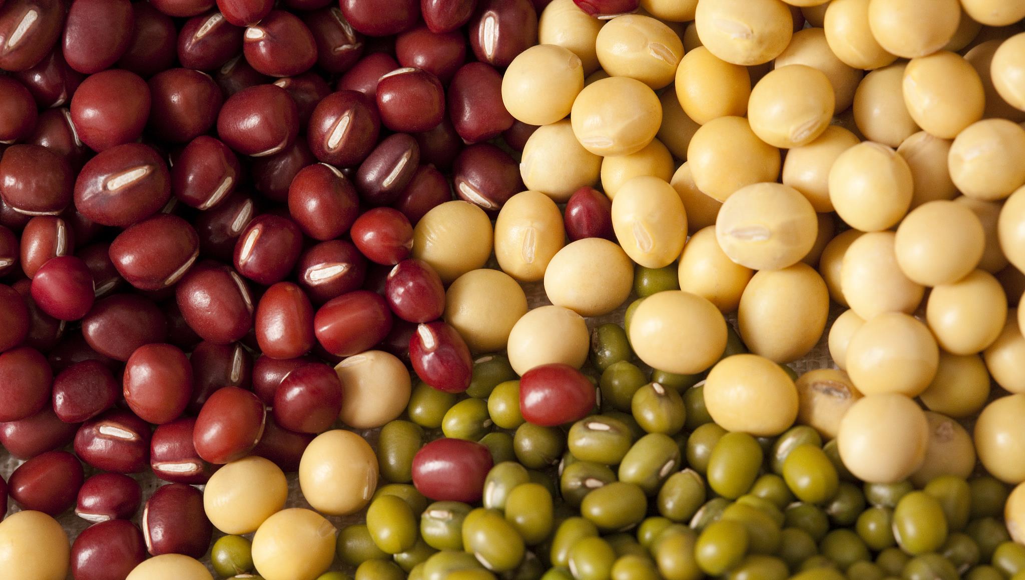 王桂珍说育儿|大暑将至，记得“5吃3不做”，饮食顺应节气，家人安康度过三伏天