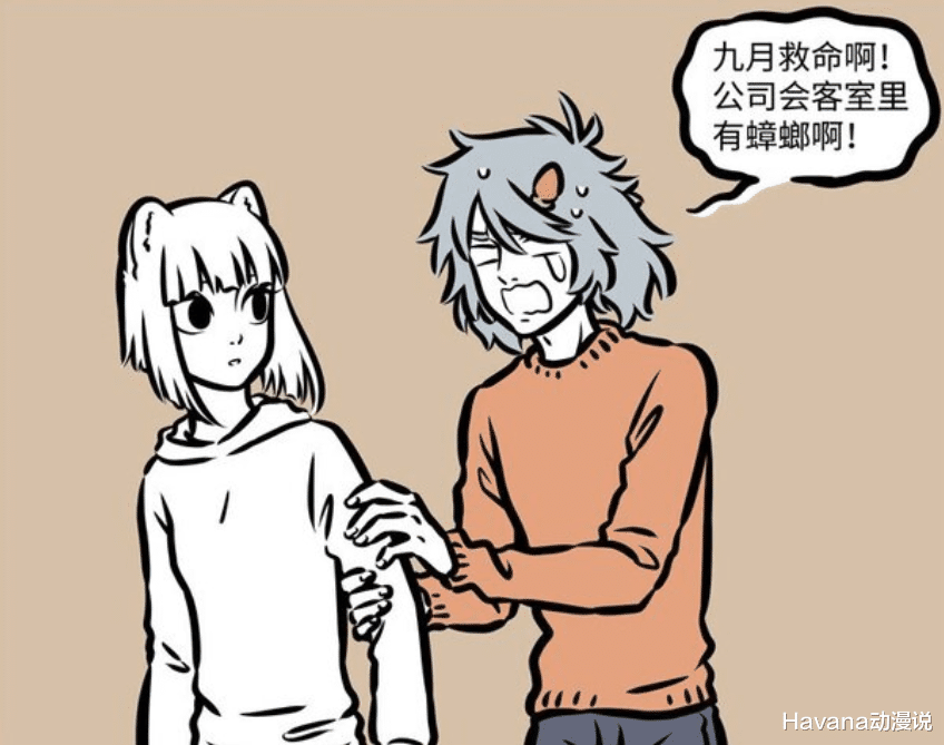 蟑螂|非人哉：超大蟑螂入侵公司，吓哭哮天和烈烈，只有九月很淡定