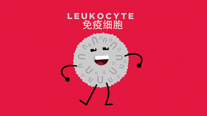 非小细胞肺癌 24小时工作的免疫细胞在干什么？