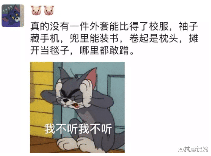 海棠湾情说|“每当我觉得力不从心的时候，看看女同事背上的这5个字！就来劲了！”哈哈哈