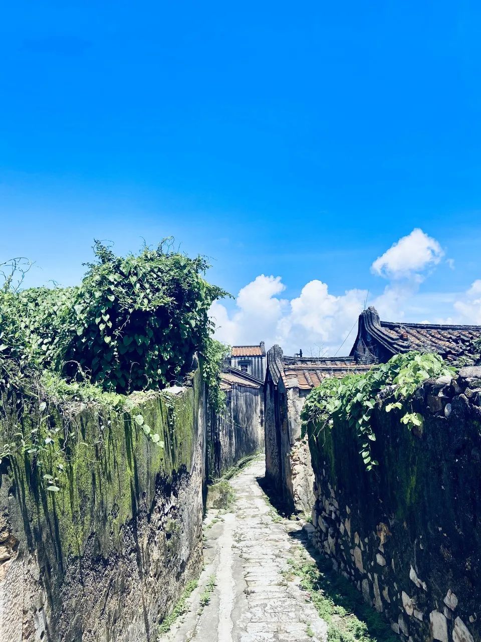 |征服谢霆锋、杨千嬅的美食小城，火在国外，国内却无人知晓，这座小城该火了