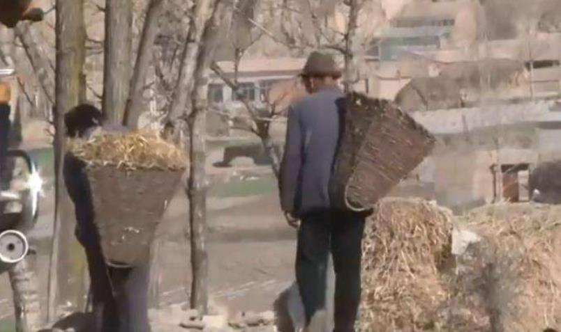 王晨正|变形计最苦的善良爷爷:早年丧妻,老年丧子,晚年丧孙