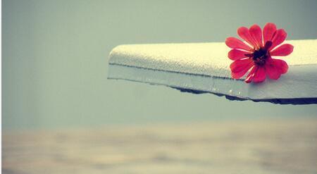 取陌生为名|最近很火的走心句子: 在没有感情的日子里，好好赚钱