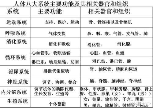 寒武纪 大多数雄性动物的排泄和生殖为何共用一个器官?这样有什么好处?