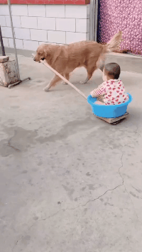 小叶娱记 “酒桌上领导把酒泼你脸上,你怎么办?”