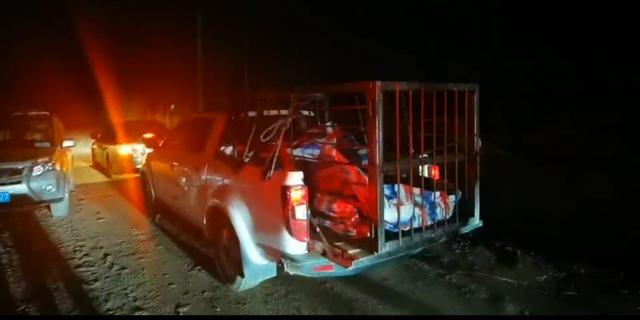 生活报 最新！进村老虎已运到横道河子虎林园