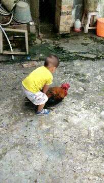 龙鱼|“钓鱼被咬了，不过钓到了一条招财龙鱼，不亏啊”评论沸腾了