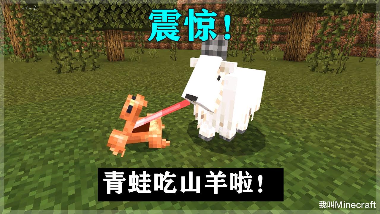我的世界|Minecraft本周奇葩新闻：青蛙一口“吞掉”山羊！竖半砖快来了！