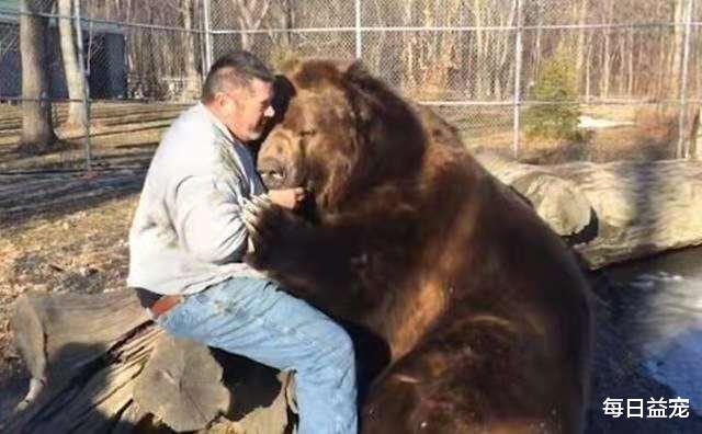 |男子野外钓鱼，身后出现一只大棕熊，竟然只是静静坐着当观众！