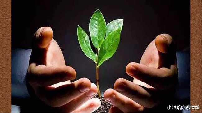 小赵陪你聊情感 嫁给什么样的男人更容易幸福?只需三点,教你选对丈夫