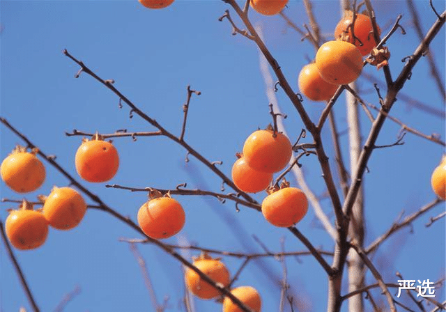 严选|子宫“害怕”的5种水果,忍住不吃就是赢,1项网红运动来帮你