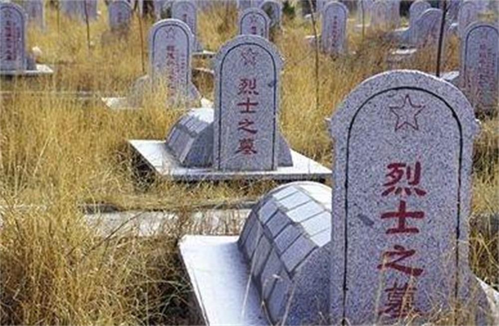 谢娜|最红的时候作死，现只能靠花边新闻博眼球！网友真相了：活该！