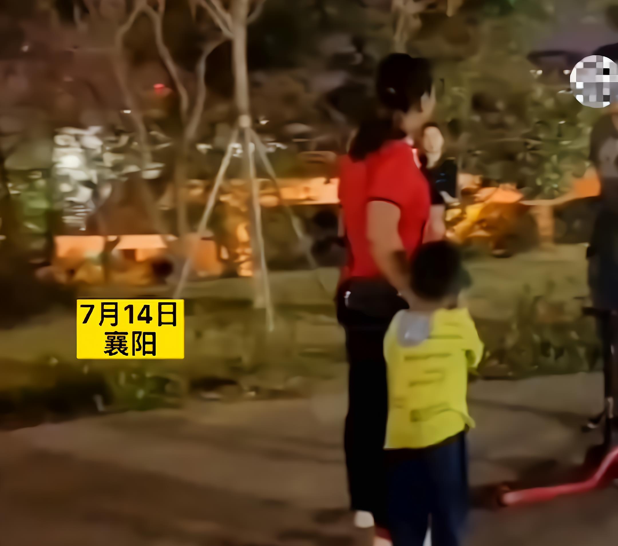 小海社会论|湖北：两孩子发生争执，家长不停叫嚣：不怕打回去，多少人也打