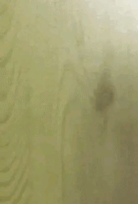 小姐姐|小姐姐你收敛一点，这可是相亲啊，千万不能暴露你的职业！