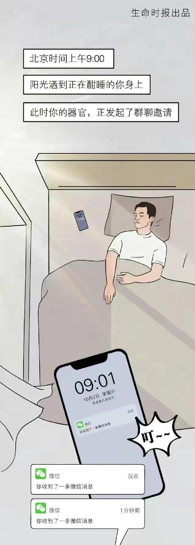 |漫画:当你的器官发起了群聊,它们会聊些什么呢?