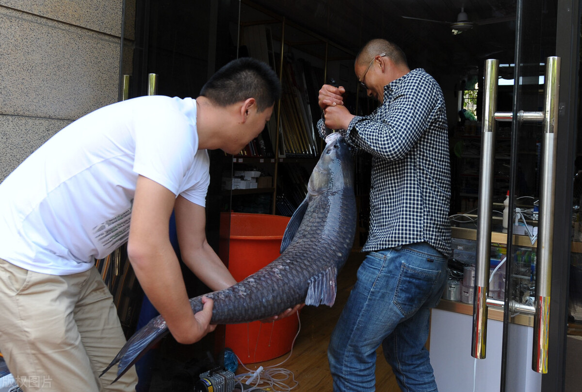 |所谓的“钓无定法”，其实就是让钓友们在垂钓中懂得合理变通