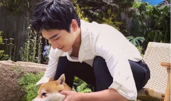 杨洋|真人秀对杨洋阴影？一次被抛弃，一次被毒晕，还因毒气落下后遗症