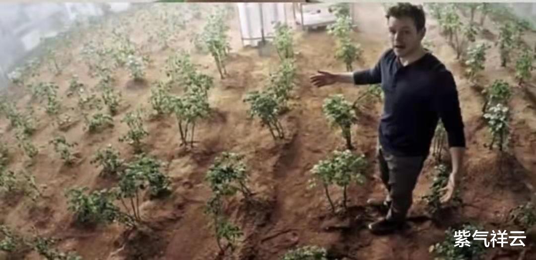 二氧化碳 中国科学家突破二氧化碳人工合成淀粉技术 喝西北风也能填饱肚子了