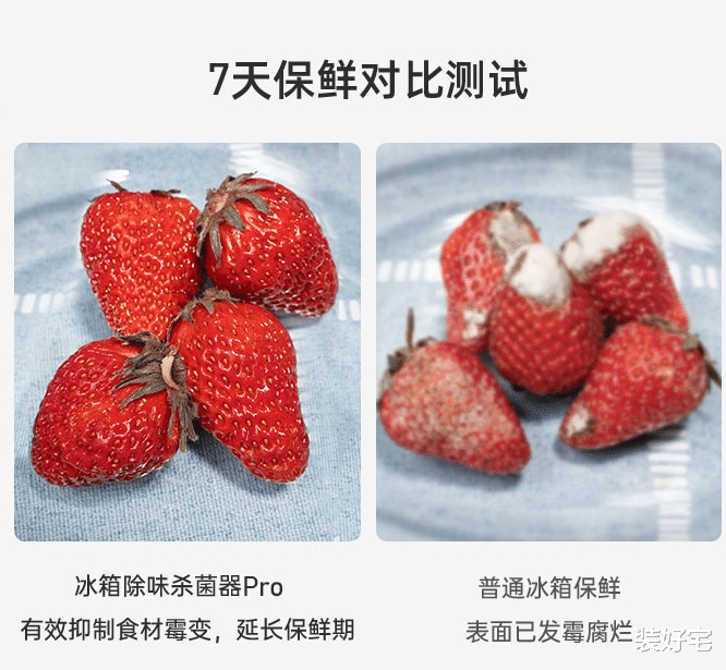 装好宅|冰箱里还堆满了塑料袋？教你一招，冰箱干净整洁没异味