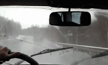 咸蛋的小姐|蚊子咬我不咬老公是因为我香吗？哈哈哈，神评小伙也太耿直了！