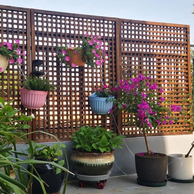 打造中式庭院可一定不能缺了它！