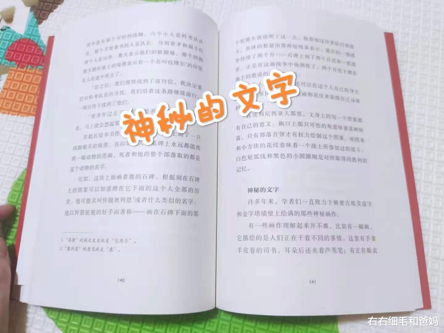 右右细毛和爸妈|天才与凡人的差距，可能就在“一个苹果”：牛顿为什么没吃掉苹果