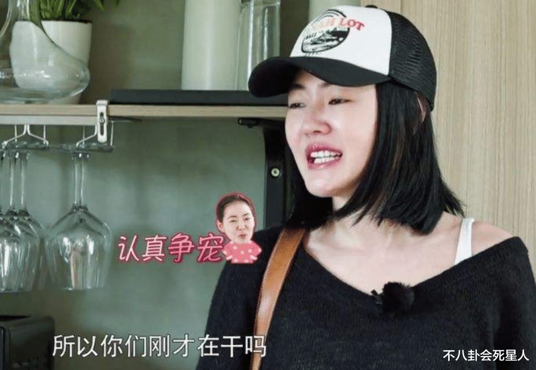 小S|小S拒绝谈论汪王二人，却暗讽汪小菲是狗，她太敢说了！