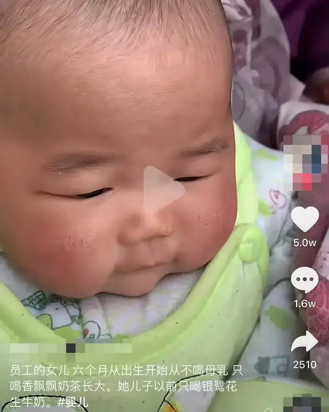 招聘|网红侮辱清华北大上热搜：无知，才是一个人最大的悲哀