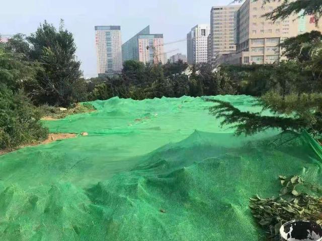 隔离|整治毁绿万余平米，创建文明典范城市