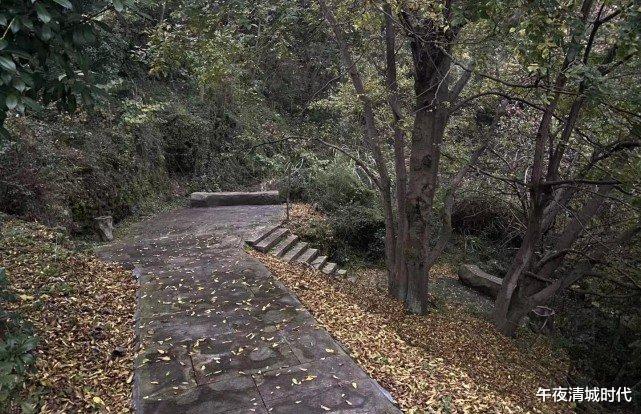父亲的错?湖北21岁女孩晨跑“遇害案”告破:关键17分钟,凶手得逞!