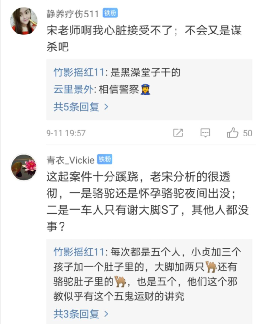 宋祖德|于月仙车祸案再起波澜?宋祖德发声:怀孕骆驼不会在夜间乱串