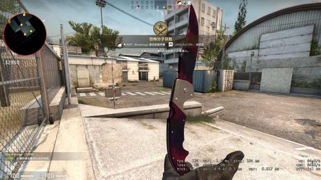 csgo|CSGO: 这把刀的特殊动作，检视100次才能看到一次